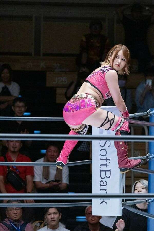 Puroresu Sexy